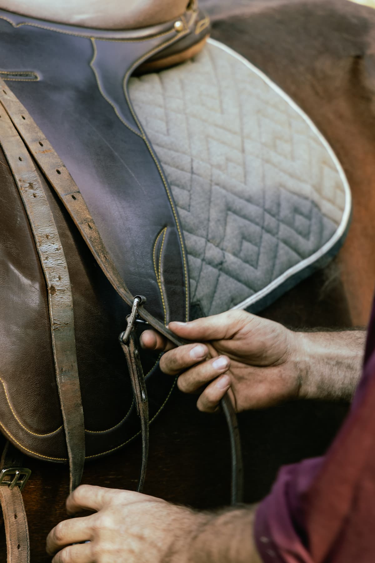 Horse trekking favourite in Hawke's Bay between Taupo and Napier