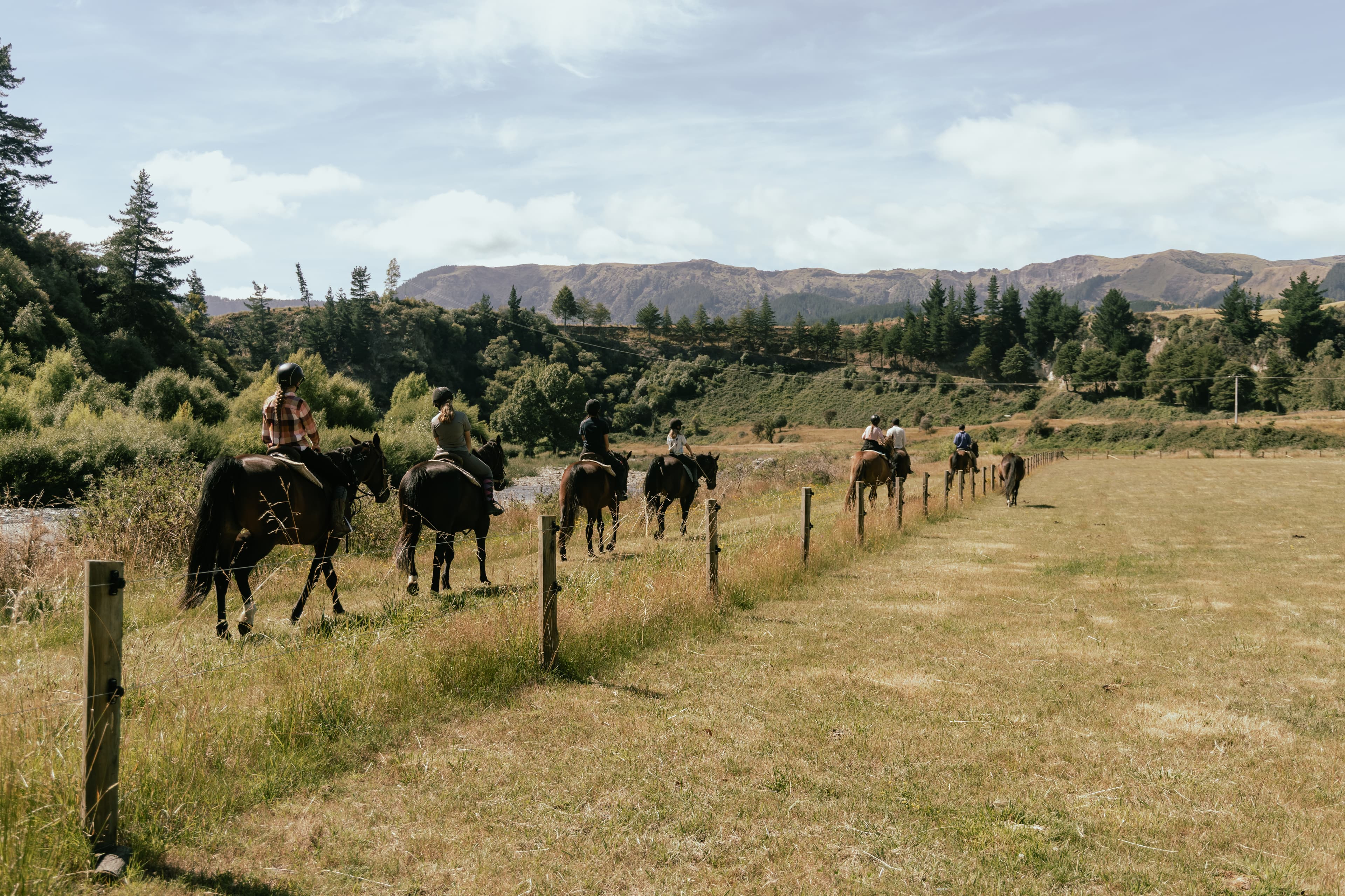 Best horse trekking option for kids, families and confident riders in Hawke's Bay 