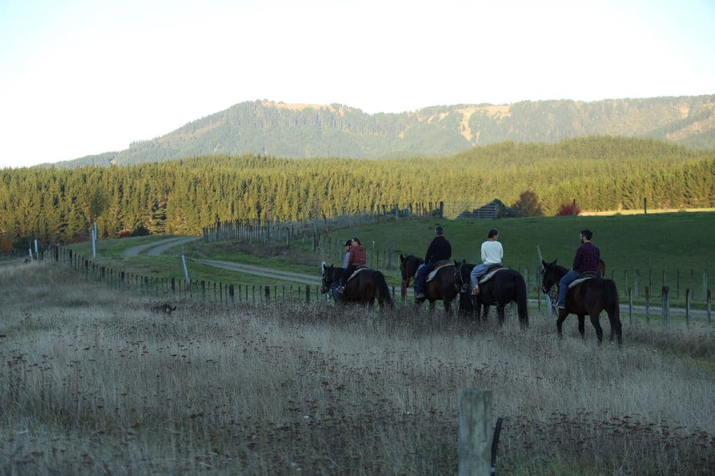 Weddings guests enjoy a horse trek as part of the various activities offered during multi-day weddings at Mohaka River Farm in Hawke's Bay