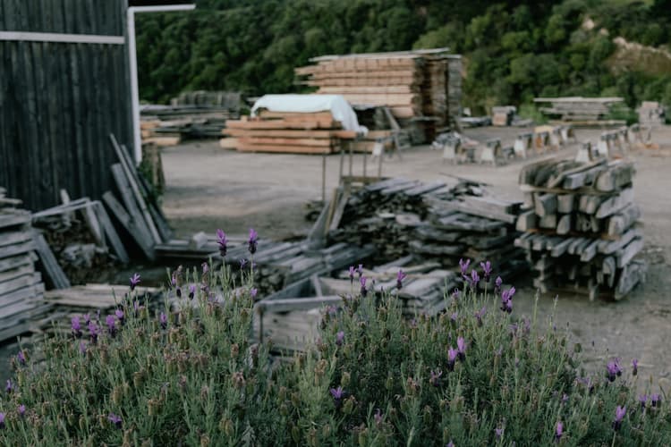 Timber drying, solar kiln in a saw mill yard in Hawke's Bay