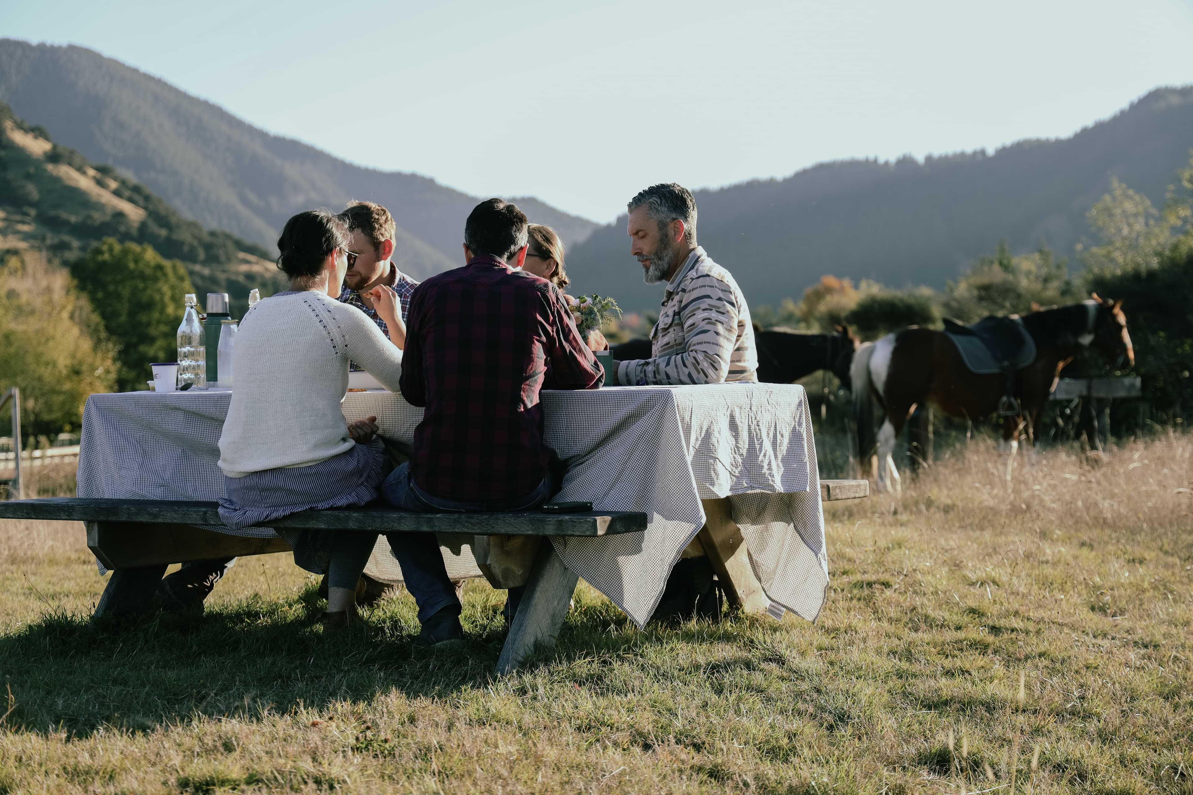 Horse trekking experience in Hawke's Bay with mountain-top picnic