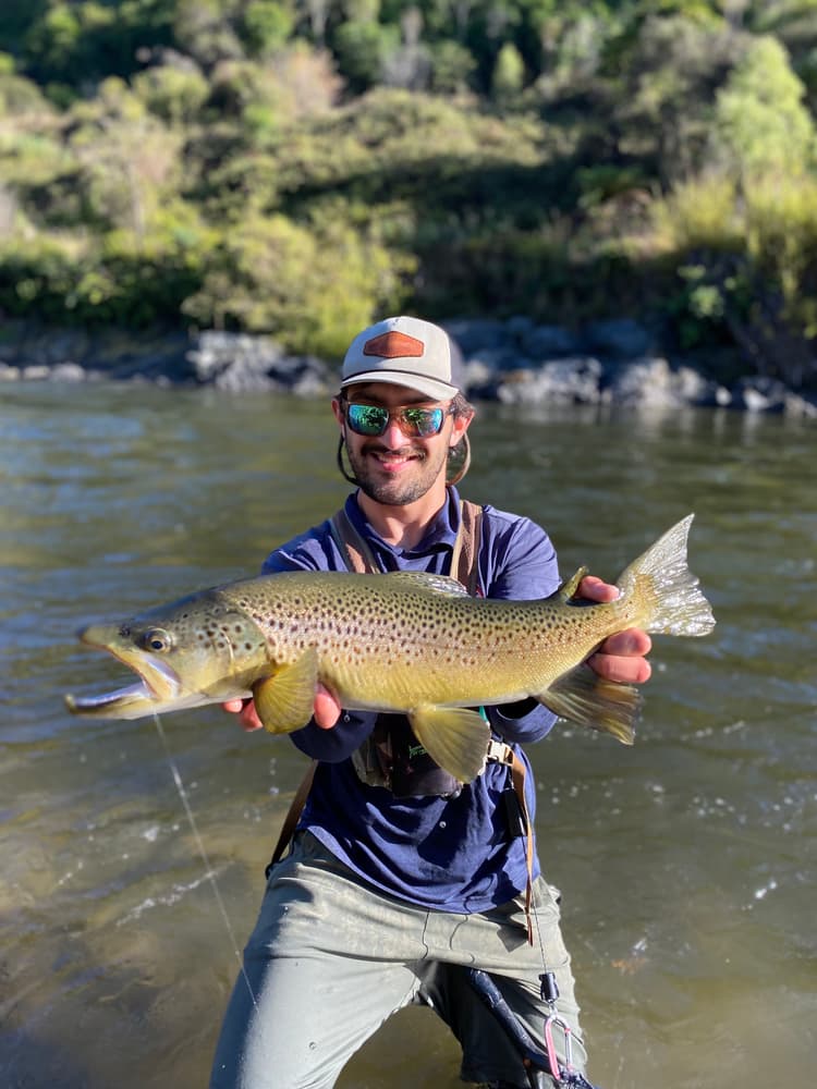 Guided fly fishing tours on the Mohaka River