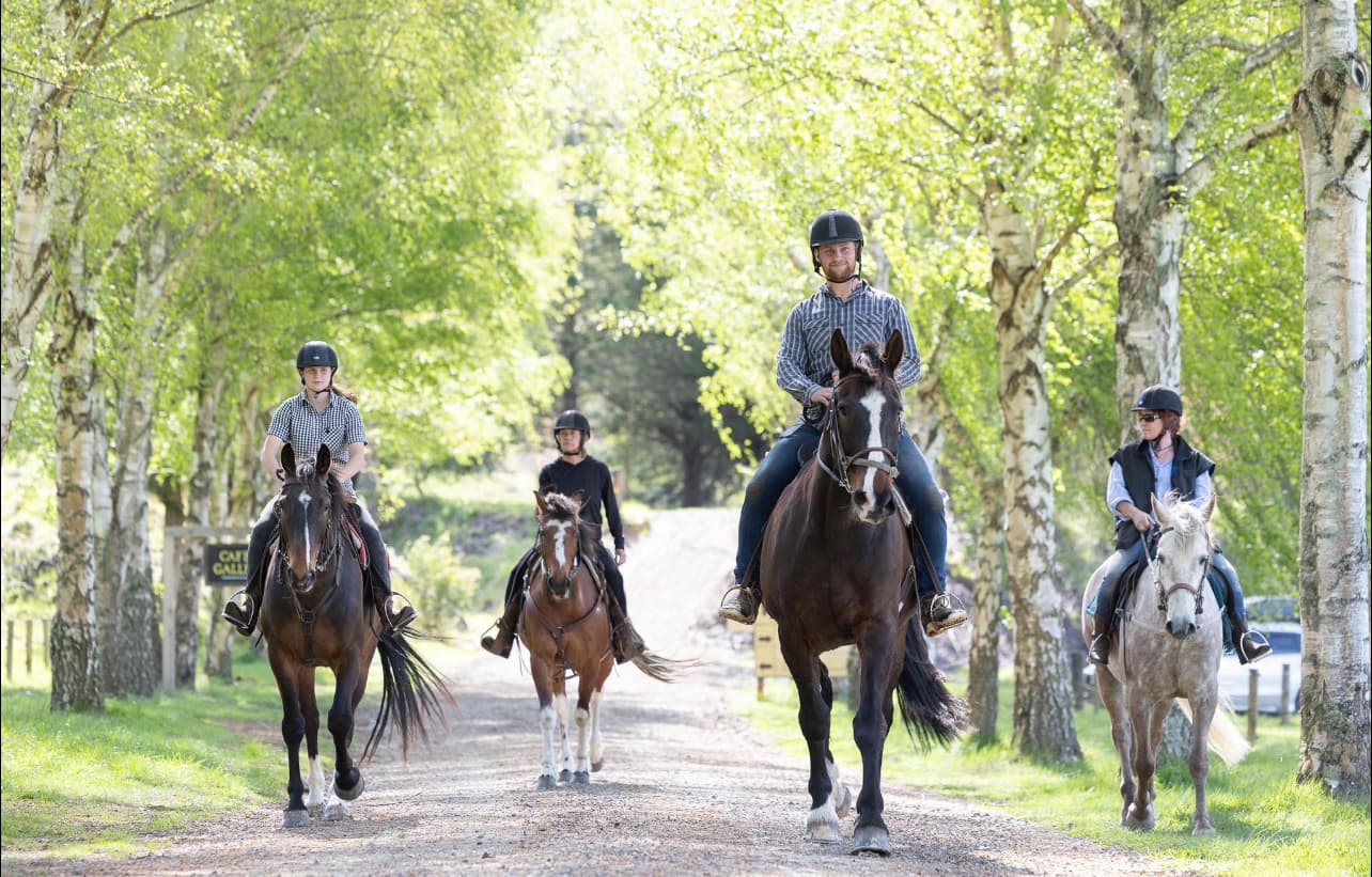 Horse trekking on the Mohaka River Farm, Hawkes Bay