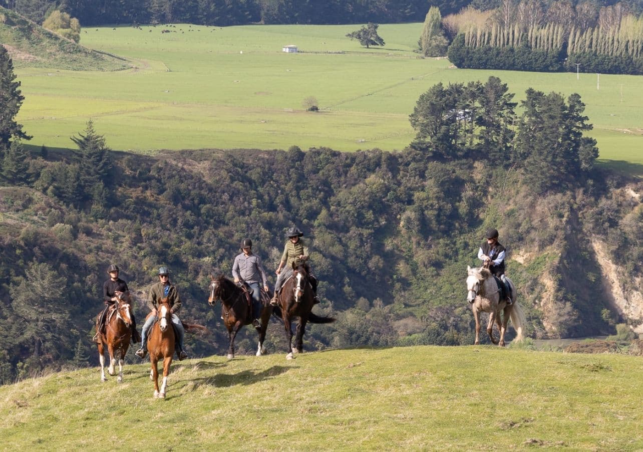 Horse trek for confident riders