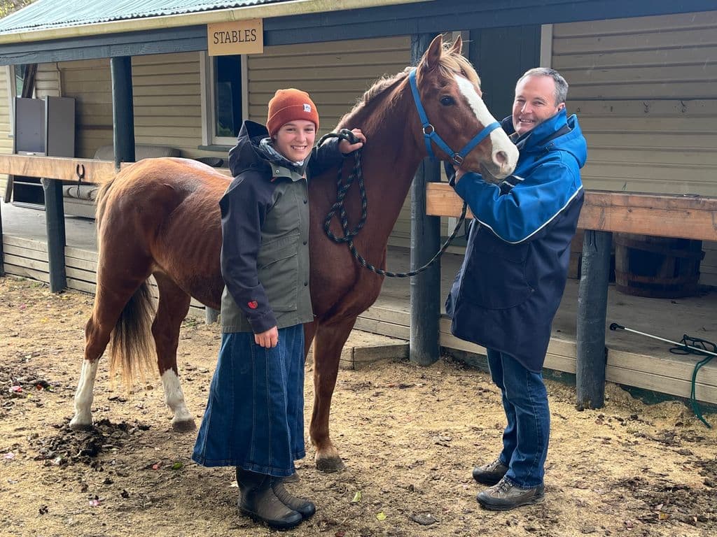 Members of a Christian rural community learning to train Morgan horses for trekking, riding, and companionship.