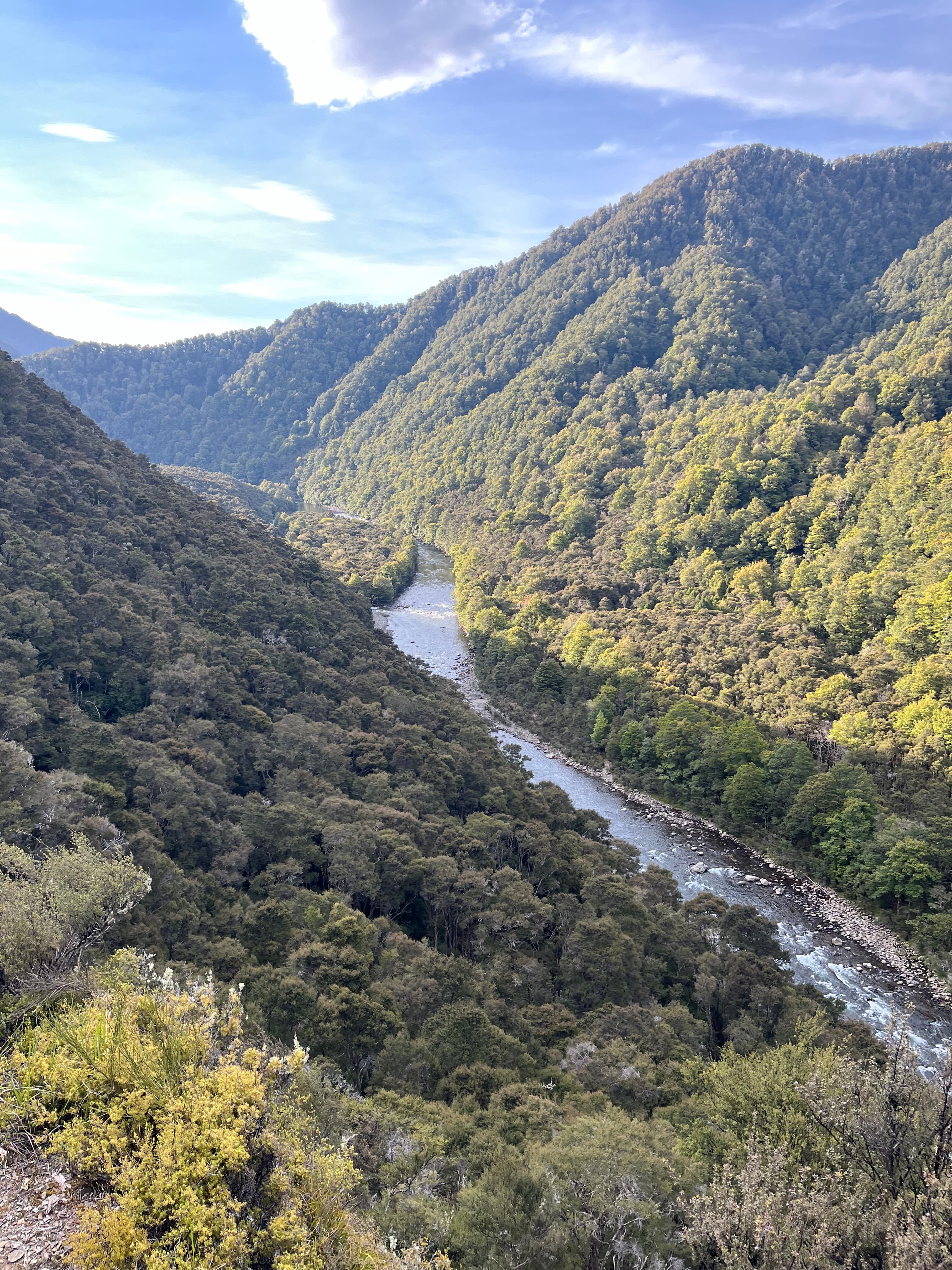 Mohaka River guided fly fishing